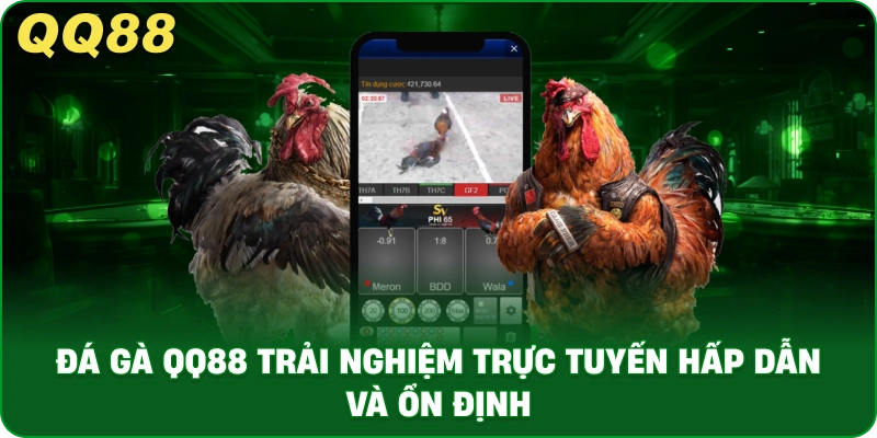 Đá Gà QQ88 – Trải Nghiệm Cược Trực Tuyến Ổn Định Và Minh Bạch